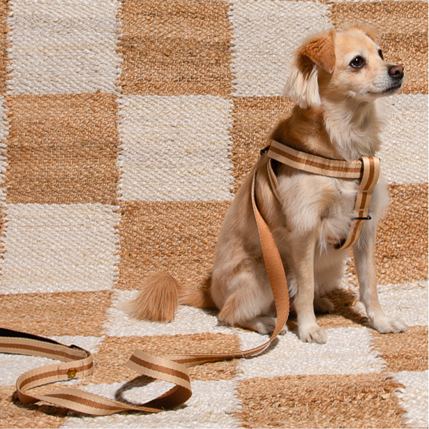 Le Classic Dog Harness
