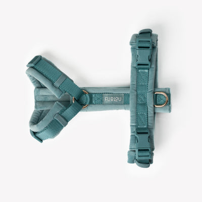 Blue - Velvet Dog Harness