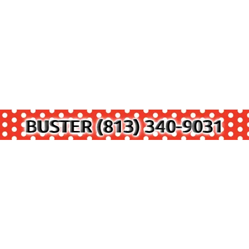 Personalized Red Polka Dot Dog Collar