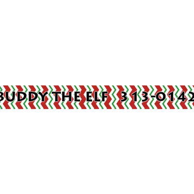 Personalized Peppermint Chevron Stripes Dog Collar