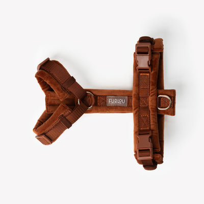 Clay - Velvet Dog Harness