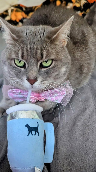 Kitty Cup Cat Tumbler Toy with Catnip & Crinkle Paper- Ideal Cat Birthday Gift