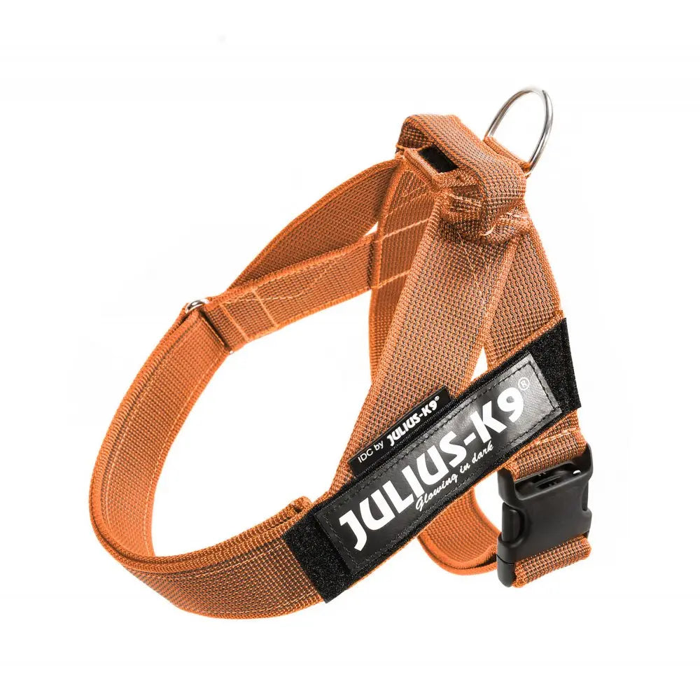 Julius-K9 IDC® Color & Gray® Belt Harness