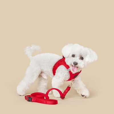 3-in-1 City Dog Leash - Iconic Red
