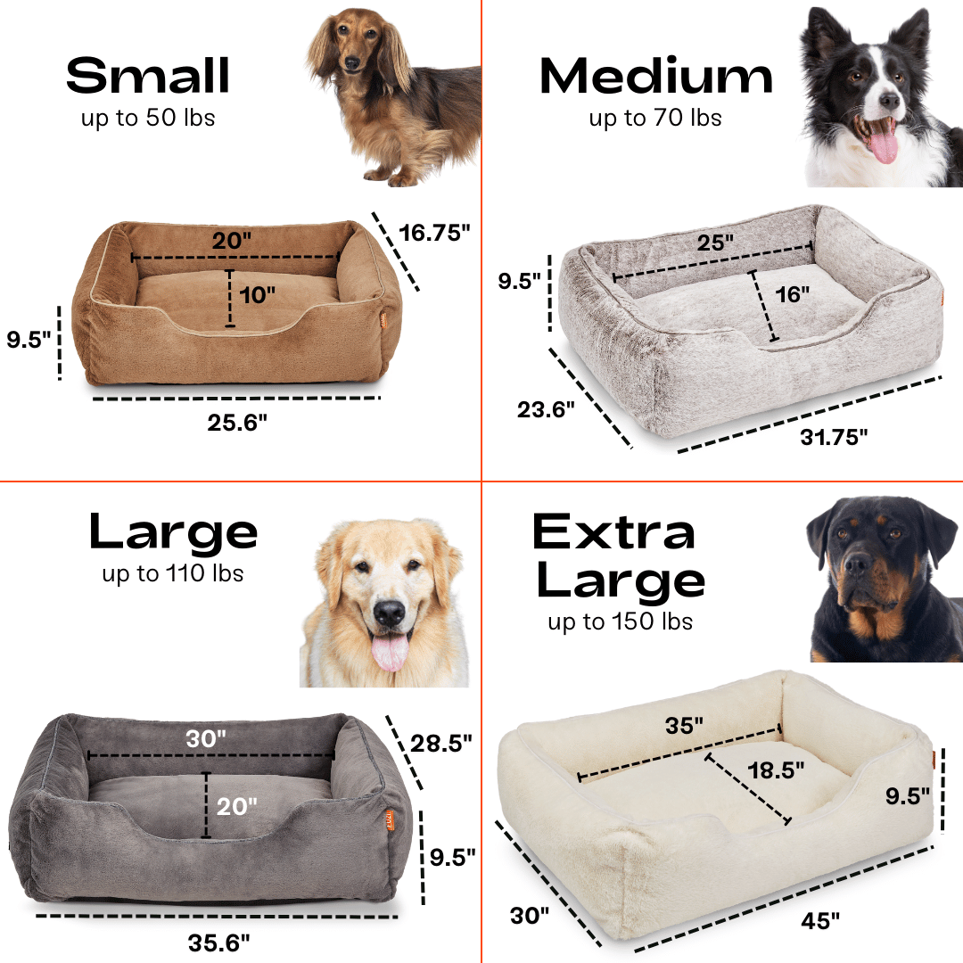 The Sammy Bolster Dog Bed