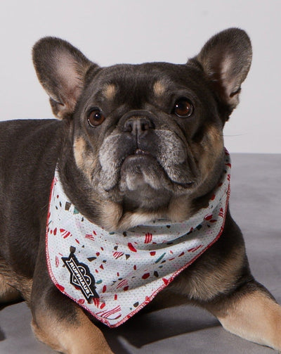 Peppermint Bark Cooling Bandana