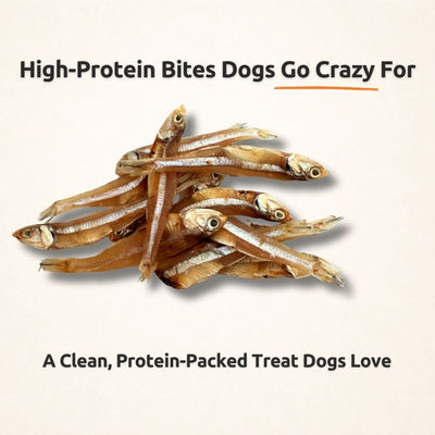 Freezbone Sprats Dog Treats - Single ingredient High Protein (Value Size 8 oz)