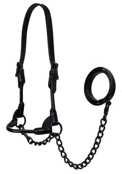 Derby Midnight All Black Premium Round Rolled Leather Cattle Show Halter with Matching Chain Lead - One Year Limited Manufacturer’s Warranty
