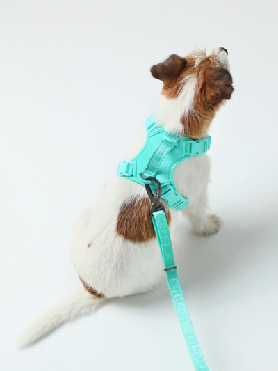 NO PULL ACTIVE PET HARNESS - MINT GREEN