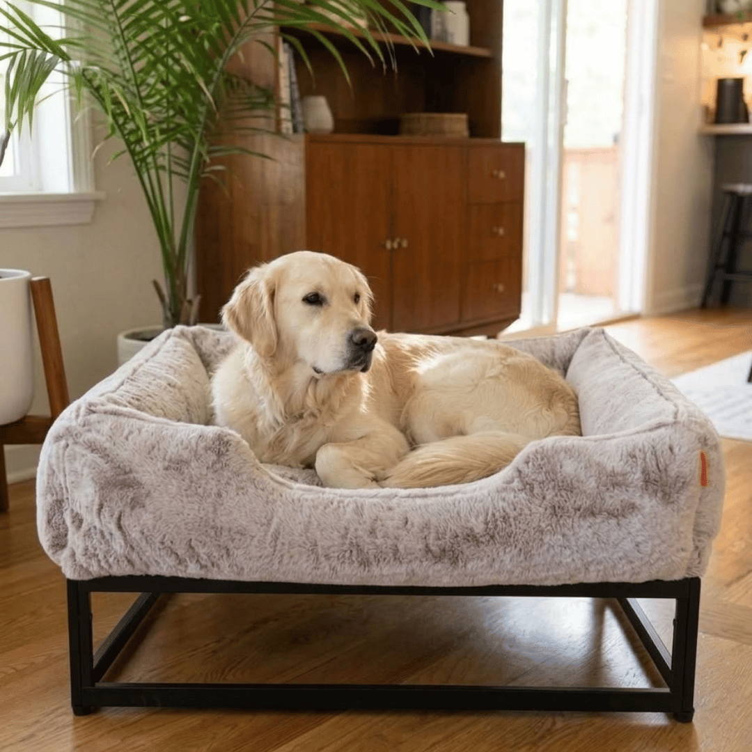 The Sammy Dog Bed Cover