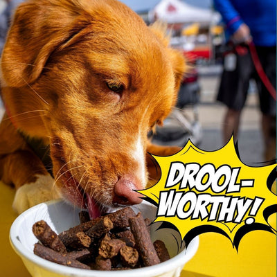 Birthday Dog Treats, 4-Pack