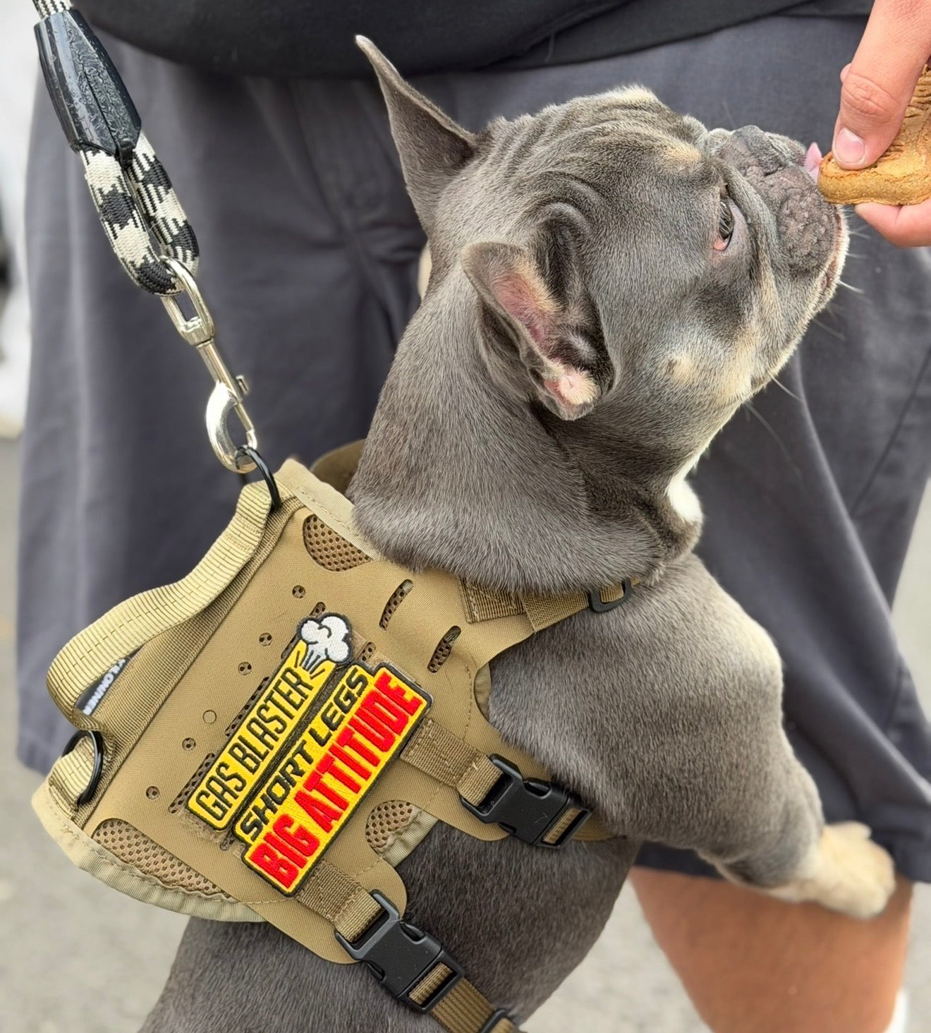 Gas Blaster - Morale Patch