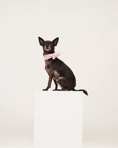 Pink Cotton Scarf