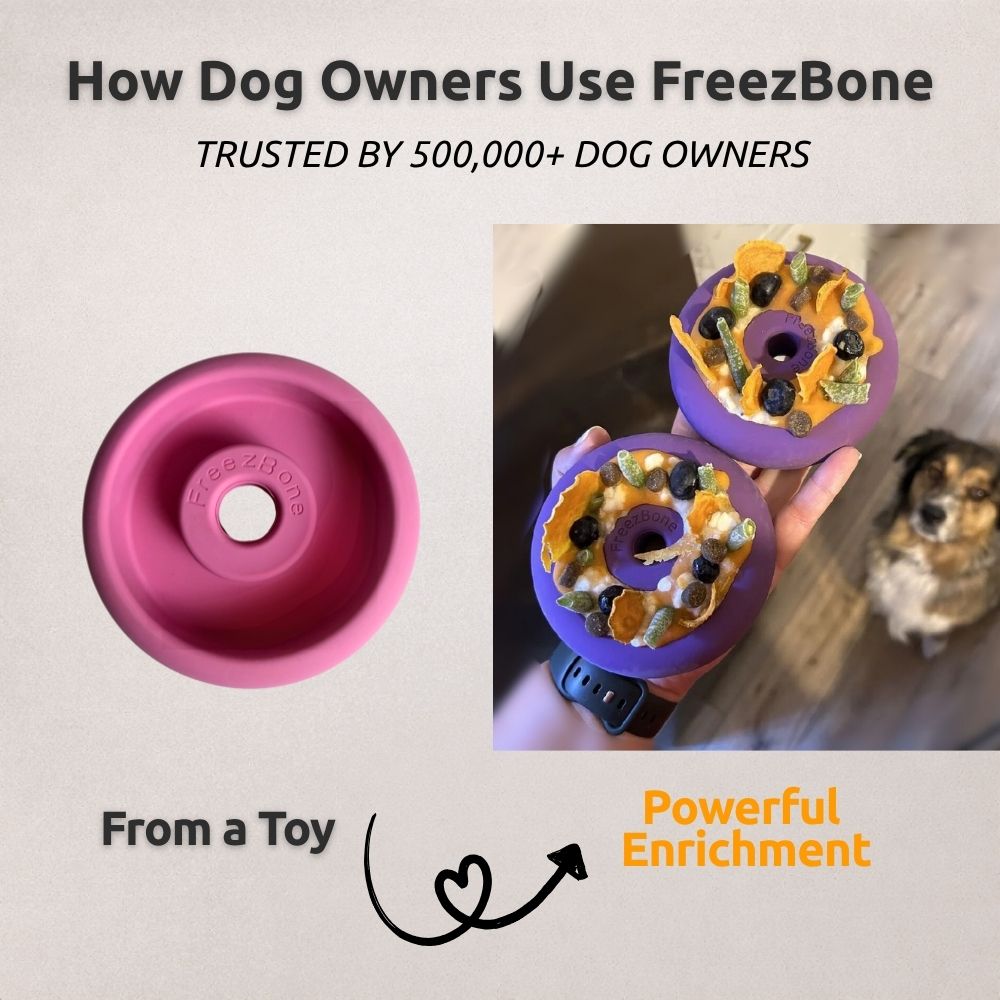 Tough Chewer Bundle - Extra-thick natural rubber for power chewers