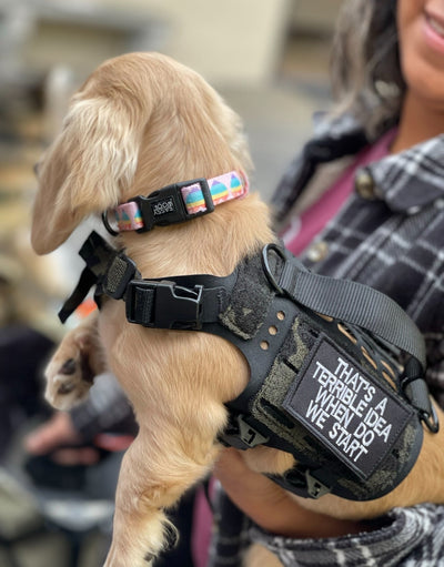 TERRIBLE IDEA Morale Patch