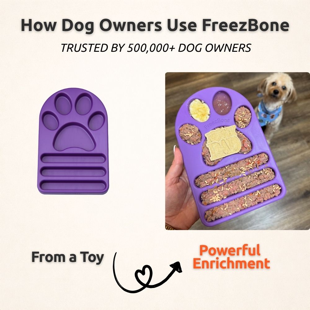 FreezPaw Mat - Calming Slow Feeder