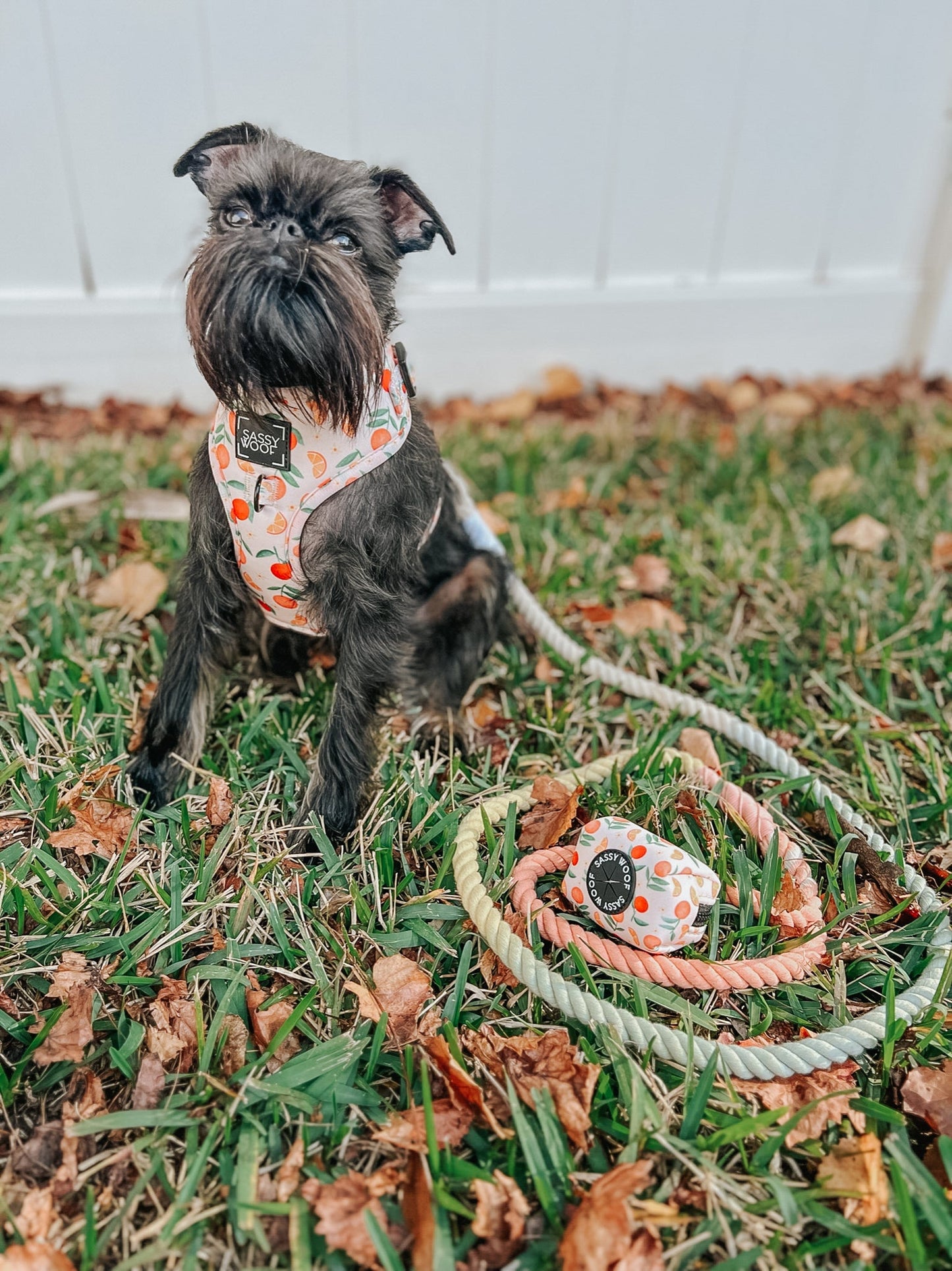 Dog Rope Leash - Honeydew