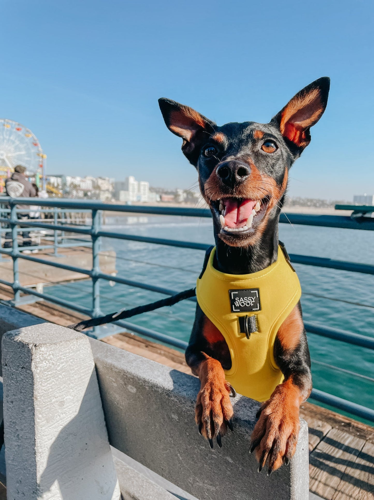 Dog Adjustable Harness - Neon Yellow