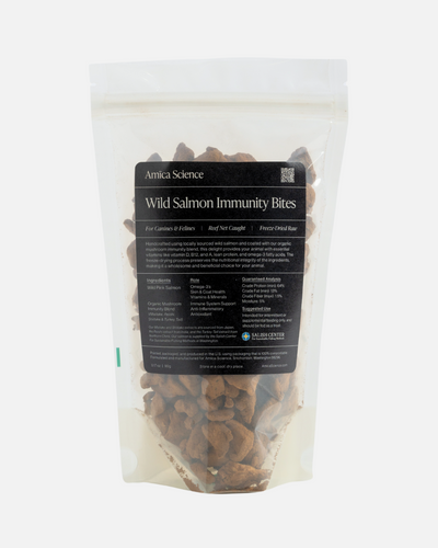 Wild Salmon Immunity Bites