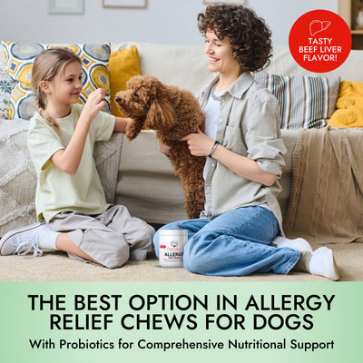 Dog Allergy Relief Chews – Pet Vet Products® Beef Liver Soft Chews with Probiotics for Itchy Skin, Skin Irritation & Seasonal Allergy Support
