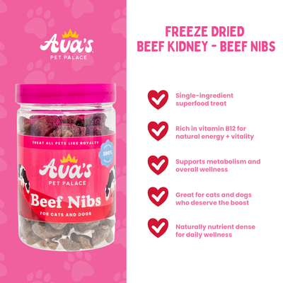 Freeze Dried Beef Kidney - Beef Nibs