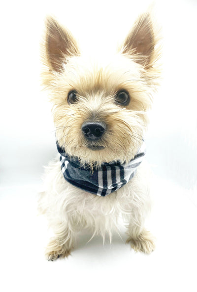'Bobby' Reversible Pet Snood