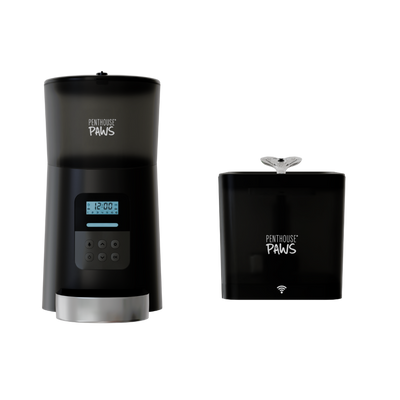 Automatic Cat Feeder & Smart Water Fountain