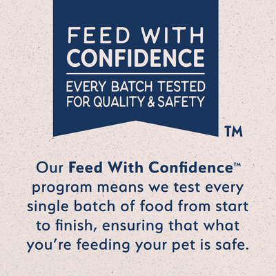 Natural Balance Limited Ingredient Puppy Dry Dog Food, Salmon & Brown Rice Recipe