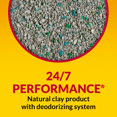 Tidy Cats Non Clumping Cat Litter, 24/7 Performance Multi Cat Litter Odor Control Formula