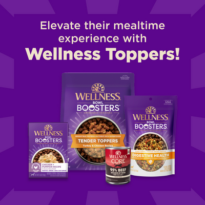 Wellness Core + Sensitive Skin & Stomach Salmon & Rice Dog Food