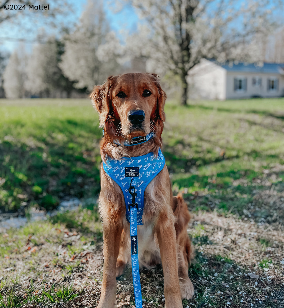 Dog Adjustable Harness - KEN™