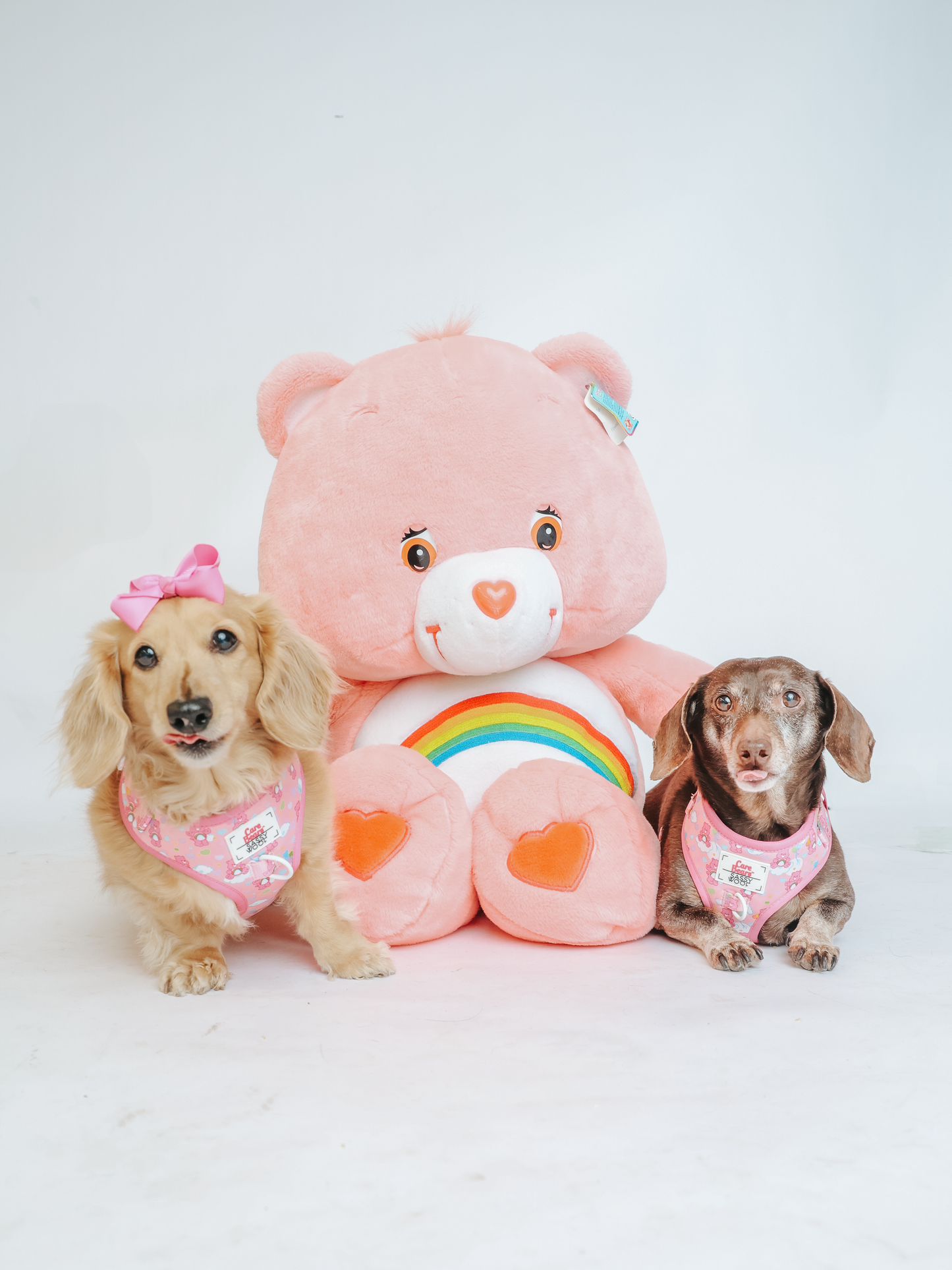 Dog Adjustable Harness - Care Bears™ Cheer Bear