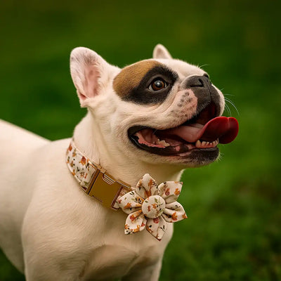 Soft Ivory Blossom Floral Set