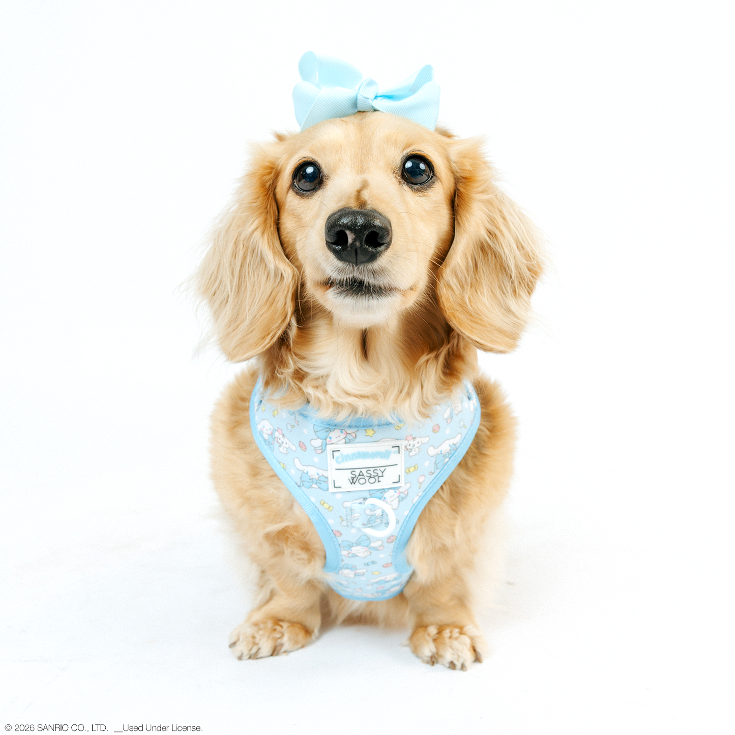 Dog Adjustable Harness - Cinnamoroll™