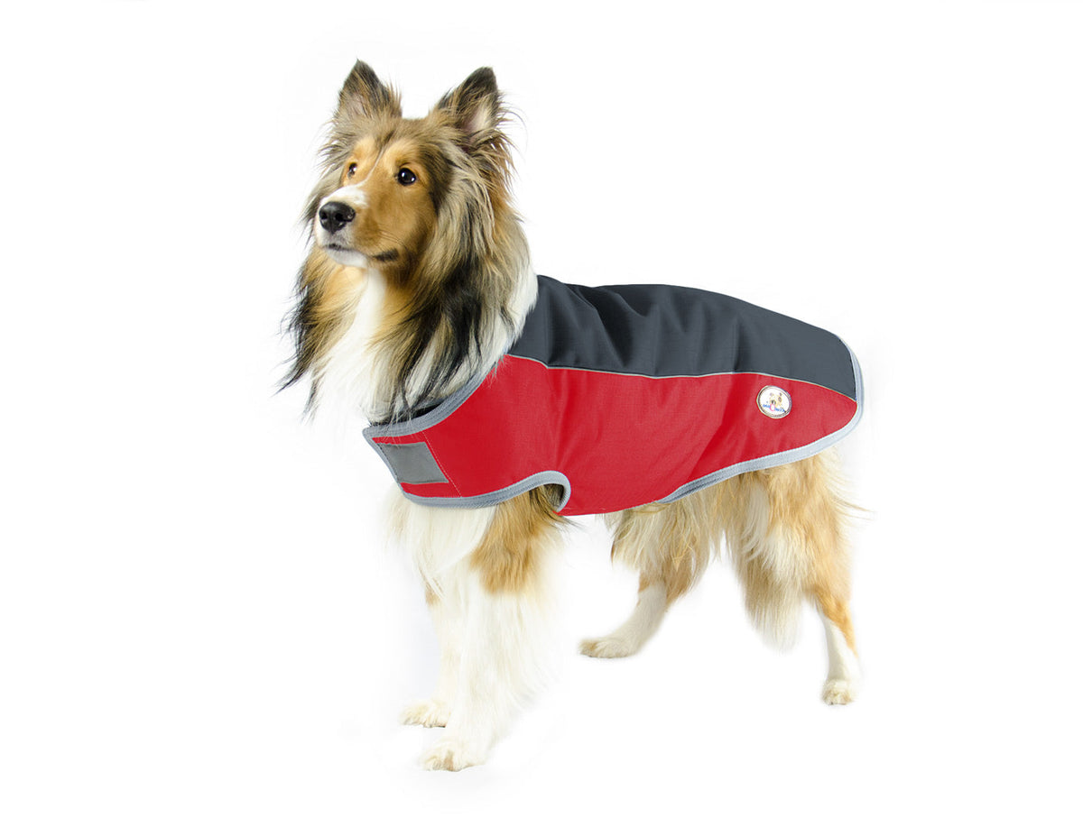 Derby Originals Comfort Fit Classic 600D Winter Dog Coat – 150g Insulated, Waterproof, Breathable Design with 6-Month Warranty