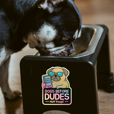 Dogs Before Dudes Holographic Sticker