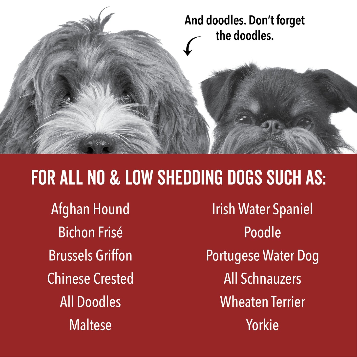 DOGDAYS Hydrating Dog Shampoo