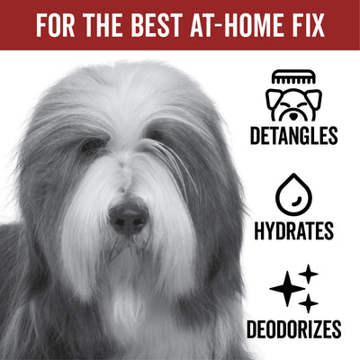 DOGDAYS Leave-In Detangling Spray