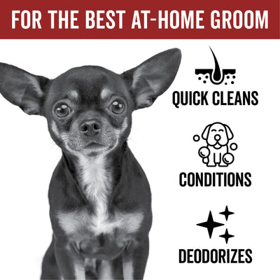 DOGDAYS Waterless Foaming Shampoo