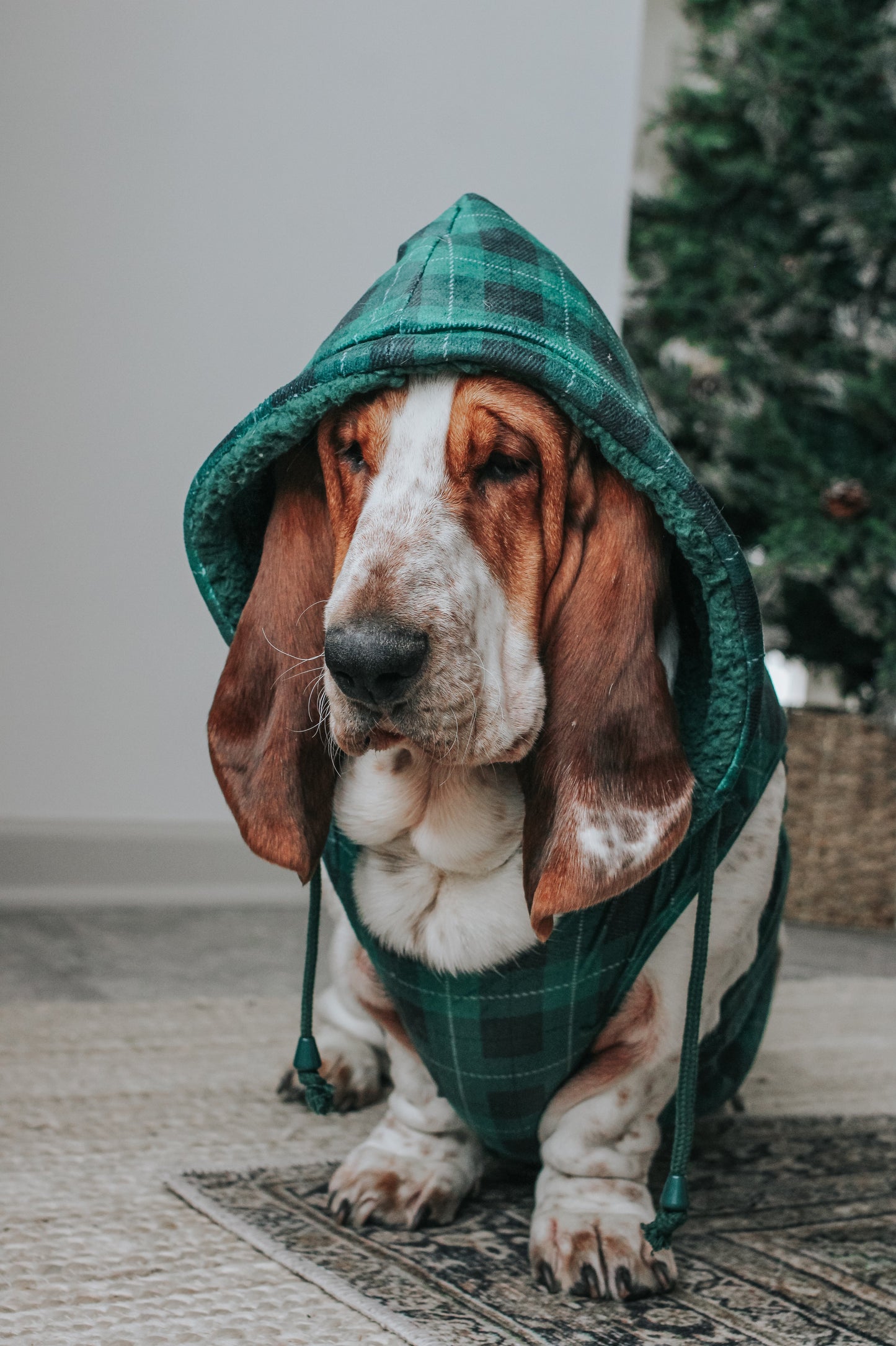 Dog Reversible Sherpa Jacket - Barks of Holly