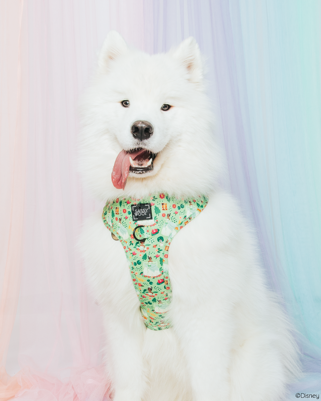 Dog Adjustable Harness - Disney's Tiana