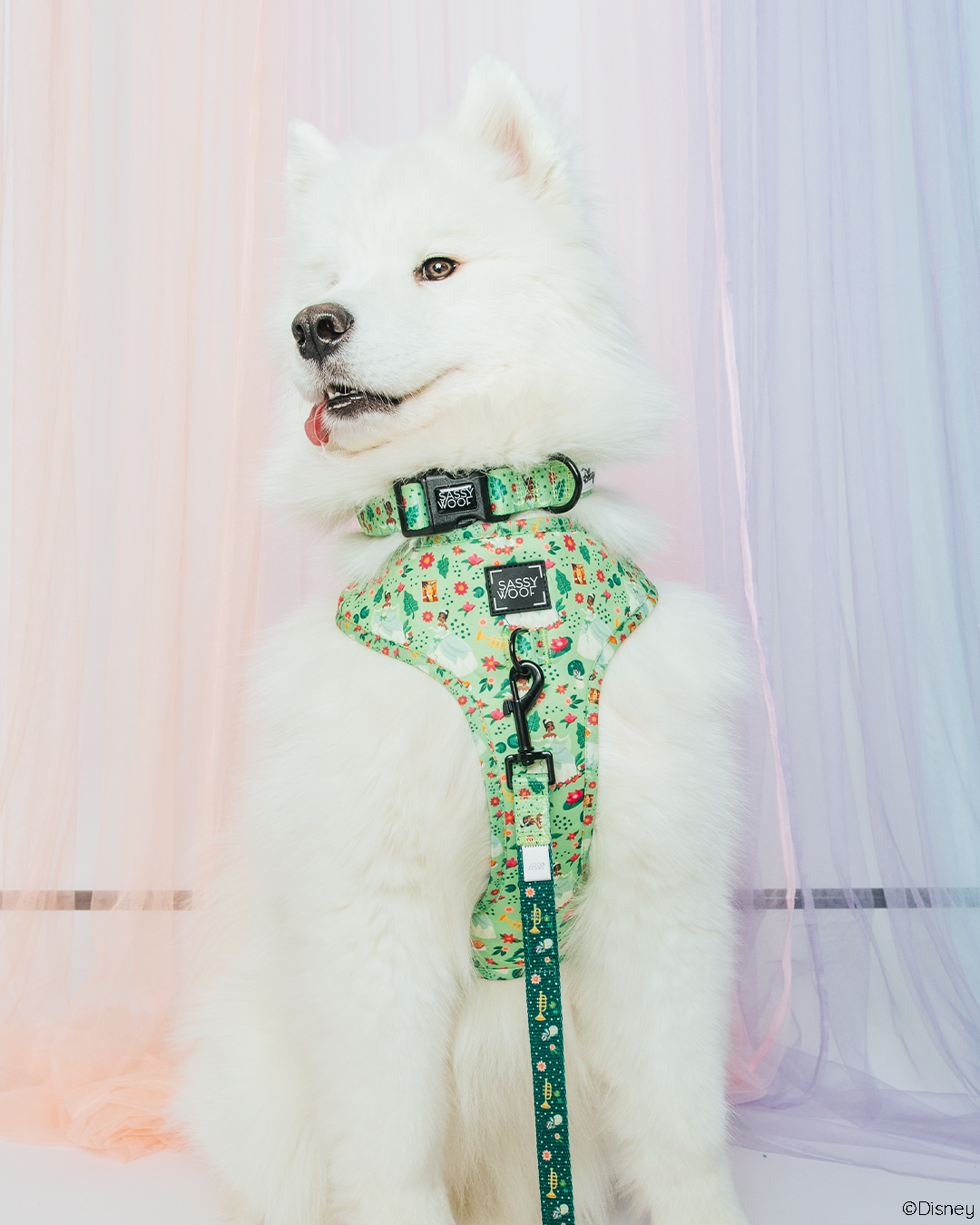 Dog Collar - Disney's Tiana