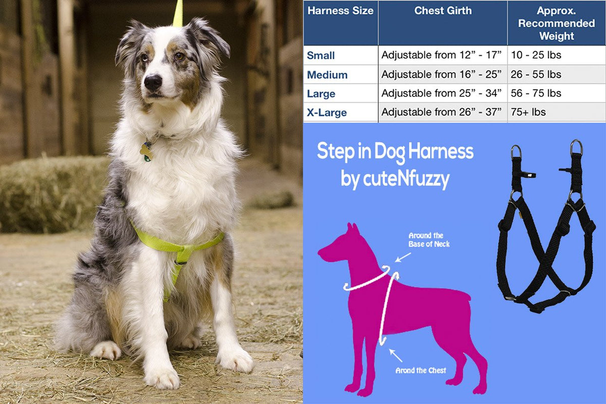 Step in Dog Harness by cuteNfuzzy®
