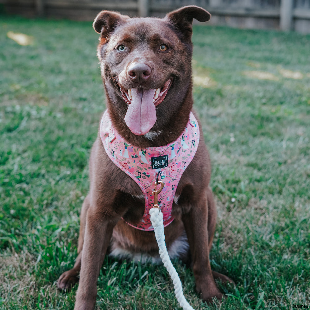 Dog Adjustable Harness - Disney's Mulan