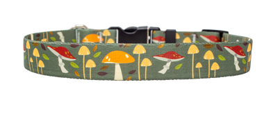 Forest Floor Dog Collar