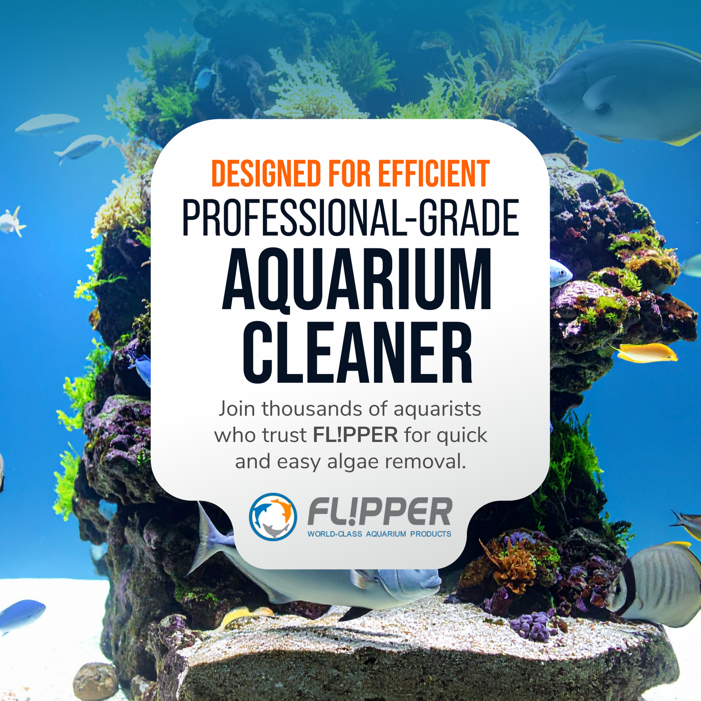 Flipper Edge 2 in 1 Floating Magnetic Aquarium Algae Cleaner (Standard)