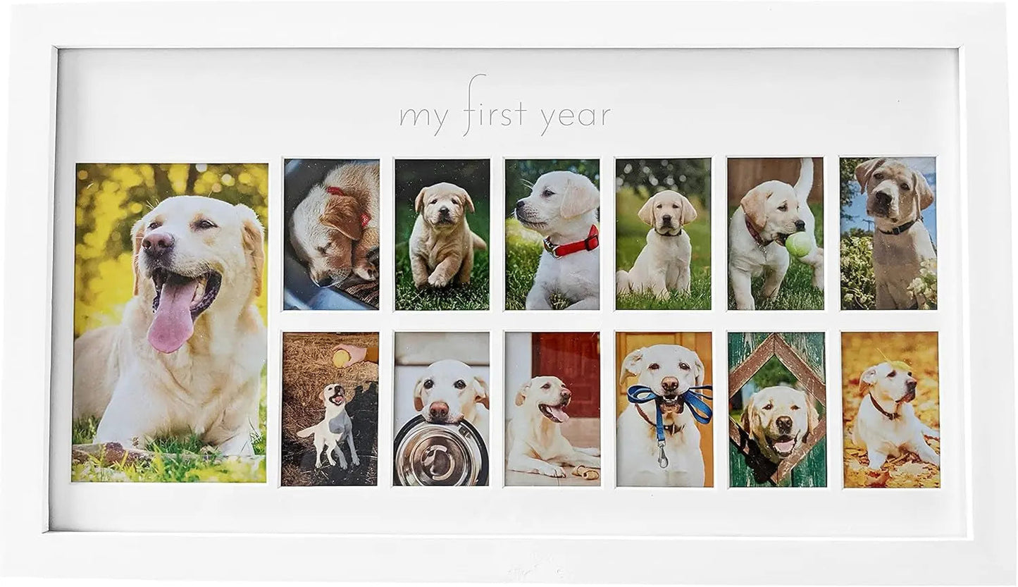 Green Pollywog Pet Memorial Shadowbox | Collar, Tag & Photo Keepsake