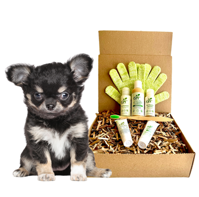 4-FURRY DOGS *SENSITIVE GROOMING KIT