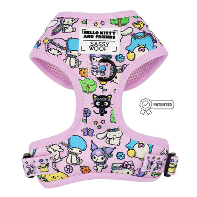 Dog Two Piece Bundle - Hello Kitty® & Friends Flower Festival