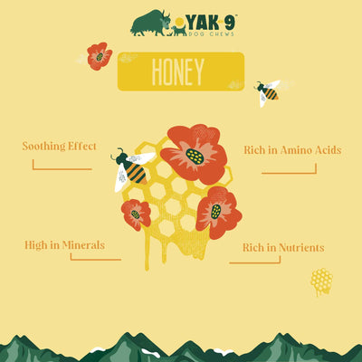 Honey Cheese Chews for Dogs